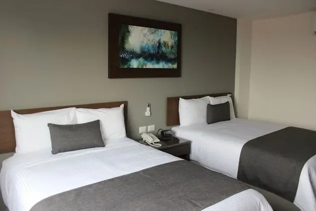 Eco Hotel Guadalajara Expo - Öne Çıkan Resim