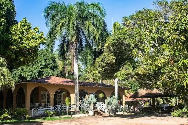 Eco Pousada Paraíso dos Coqueirais - Dış Mekan