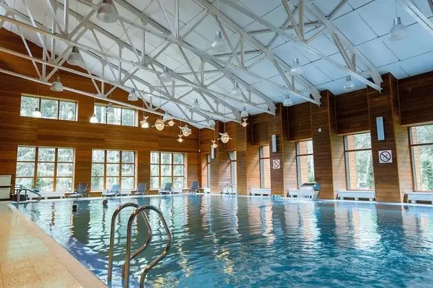 Eco Hotel Romanov Les - Havuz