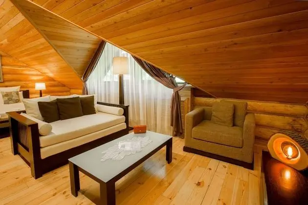 Eco Hotel Romanov Les - Oda