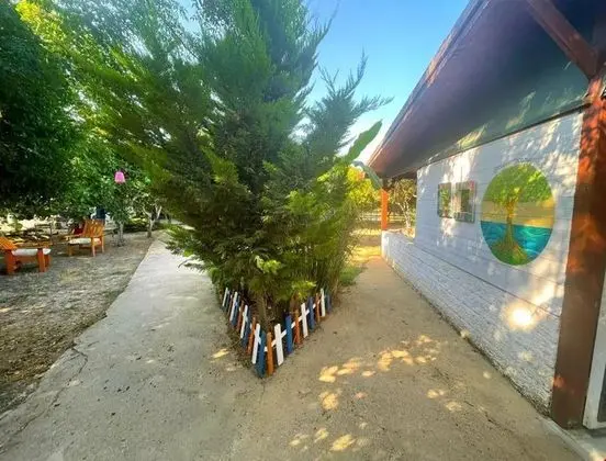 Ecofarm Campbungalow - Genel