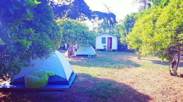 Ecofarm Campbungalow