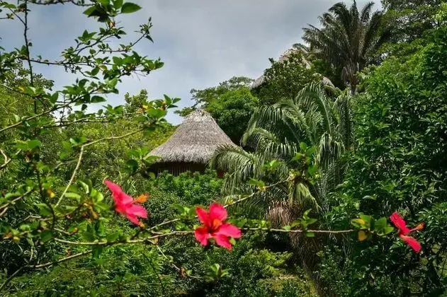 Ecohabs Bosques del Tayrona - Dış Mekan