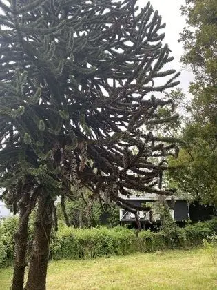 ECOHOSTEL