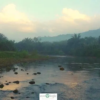 Ecologic Thailand