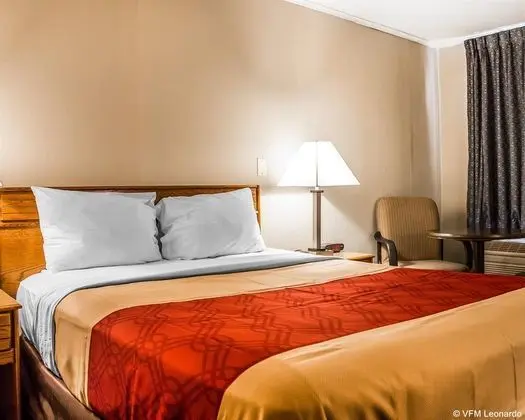 Econo Lodge (East Hartford) - Genel