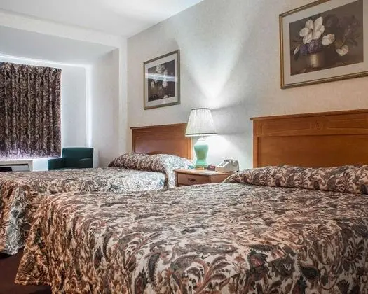 Econo Lodge By the Falls