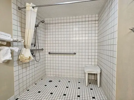 Econo Lodge Inn & Suites Joplin Area - Banyo Özellikleri
