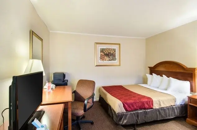 Econo Lodge Inn & Suites - Oda