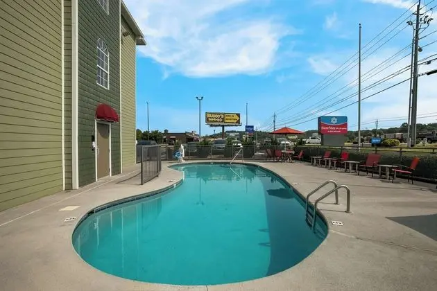 Econo Lodge Sevierville - Havuz