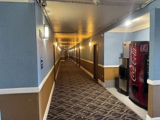 Economy Inn North Randall - Lobi