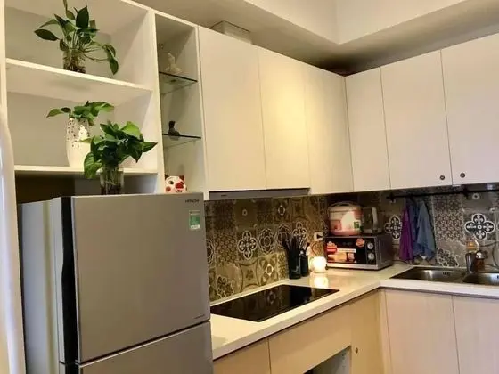 Ecopark Apartment Hung yen - Mutfak