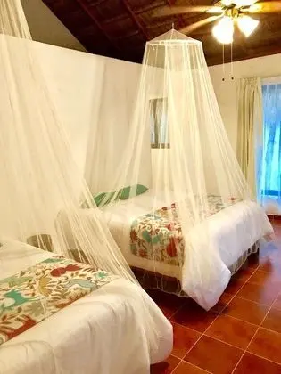 Ecovergel Riviera Maya Hotel Boutique - Oda