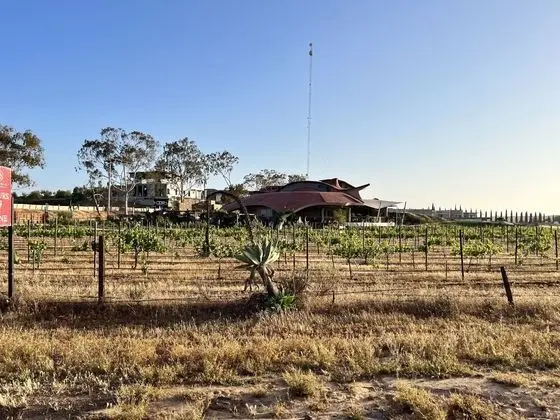 Ecovino Valle de Guadalupe