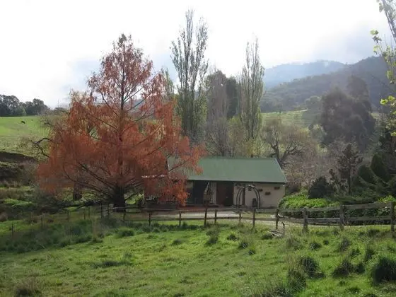 Edelweiss Cottage B&B - Dış Mekan