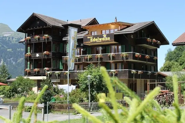 Hotel Edelweiss - 1