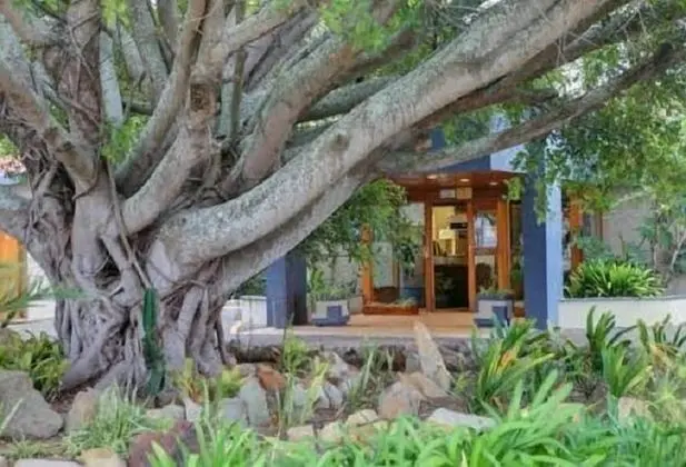 Eden Country Inn - Dış Mekan