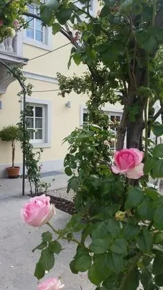 Hotel Eden - Dış Mekan