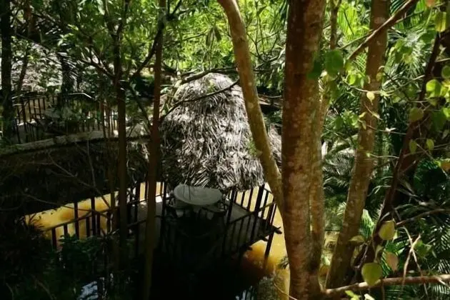 Eden Garden Ayurvedic Health Retreat - Dış Mekan