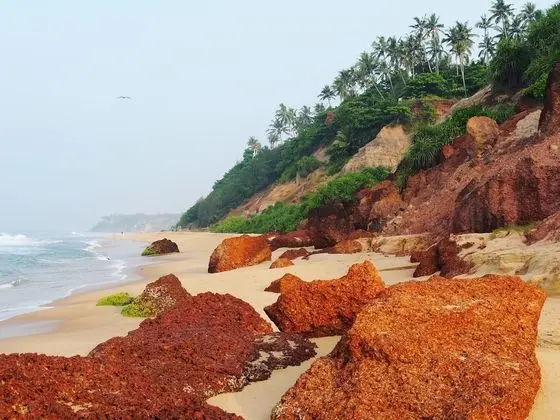 Eden Garden Ayurvedic Health Retreat - Plaj