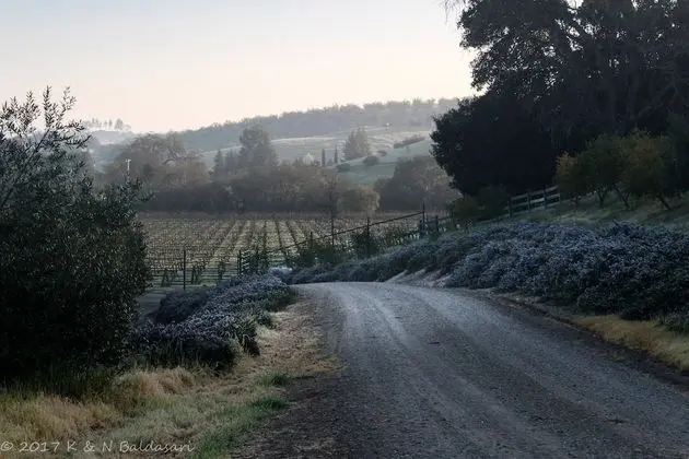 The Eden House Vineyard Bed & Breakfast - Dış Mekan