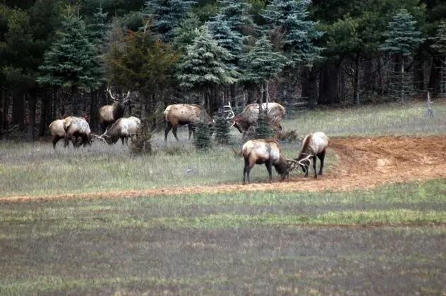 Edenwood Ranch Private SQ MILE - Dış Mekan