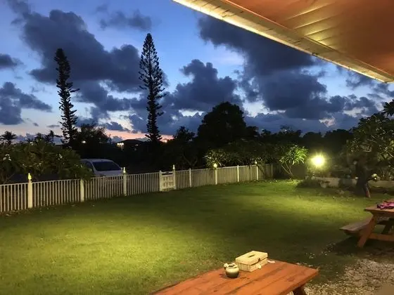 Edge of Doggie Moon