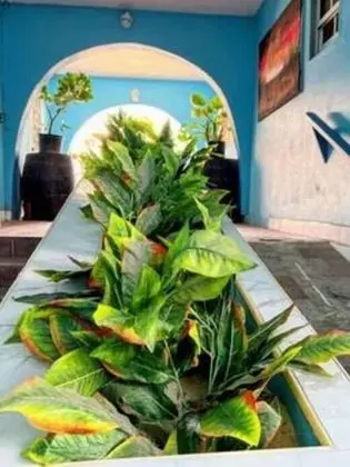 Edwards Guesthouse - İç Mekan