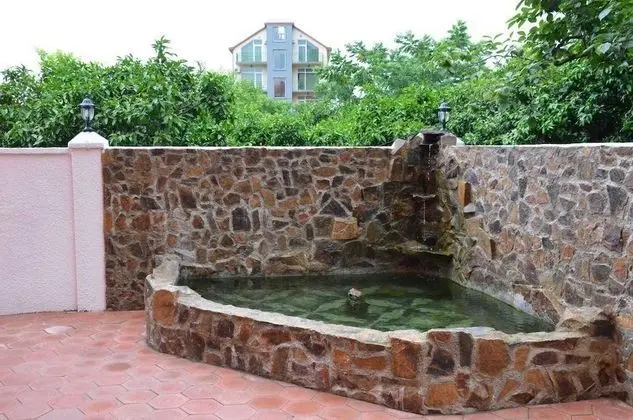 Hotel Egrisi - Dış Mekan