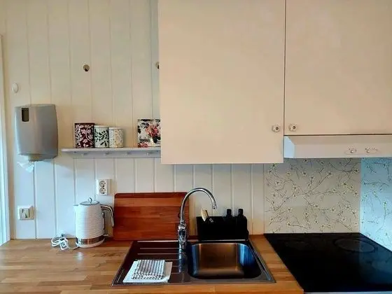 Eidfjord Riverside Apartments & Glamping - Mutfak