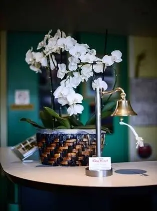 Hotel Eisenhower - Lobi