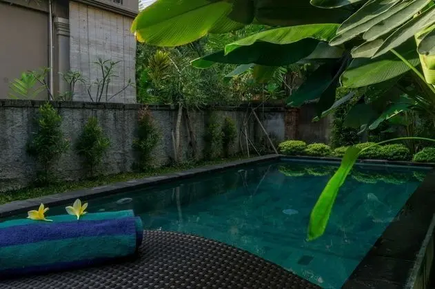 Eka Bali Guest House - Havuz