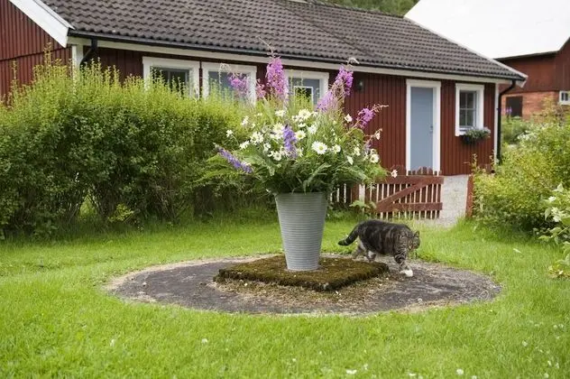 Ekologiska Fru Gran i Tiveden