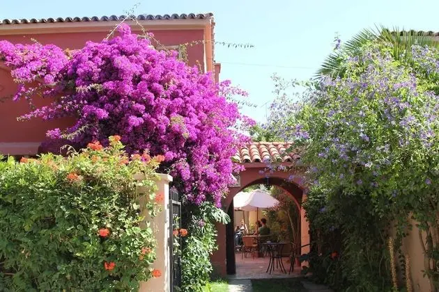 EL ARBOL HOSTEL