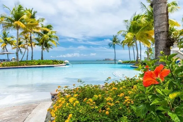 El Conquistador Resort - Havuz