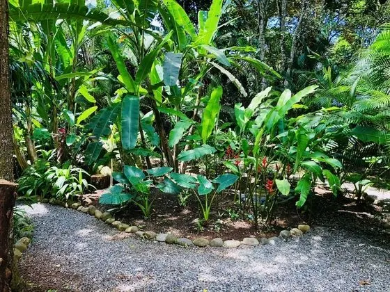El Jardin de Playa Negra - İç Mekan