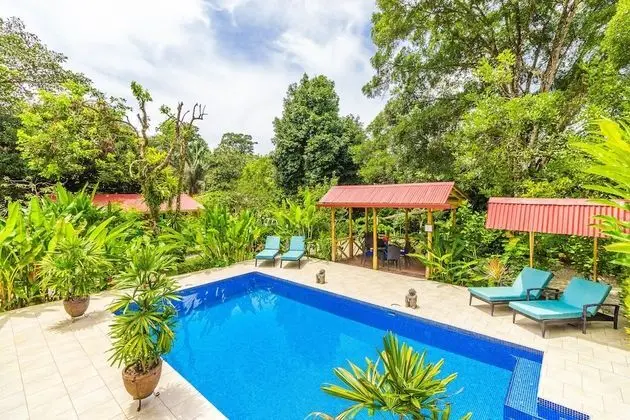 Hotel el Mono Feliz - Havuz