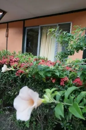 El Pacifico Hotel - Dış Mekan