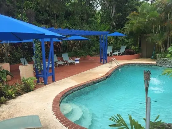 El Pequeño Hotel - Havuz