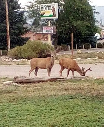 El Rancho Motel