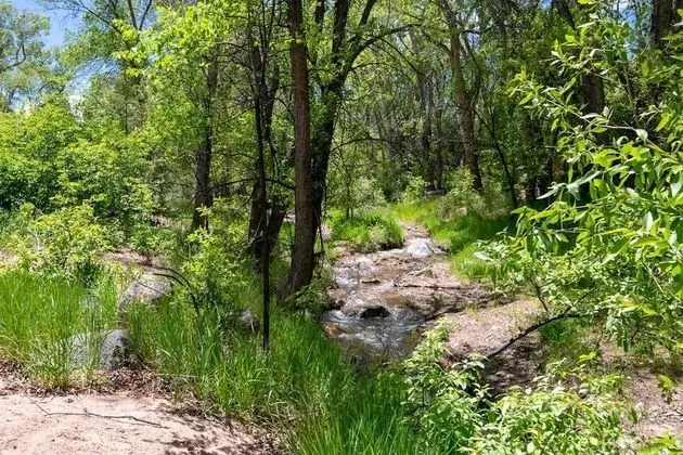 El Torreon - Exclusive Luxury Home, Nestled Next to Water and Trees - Dış Mekan