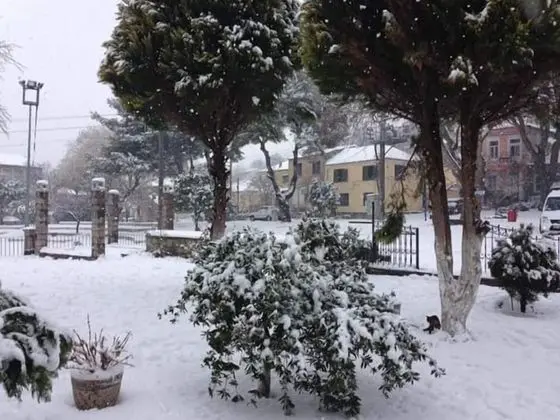 Elaia Hotel - Dış Mekan