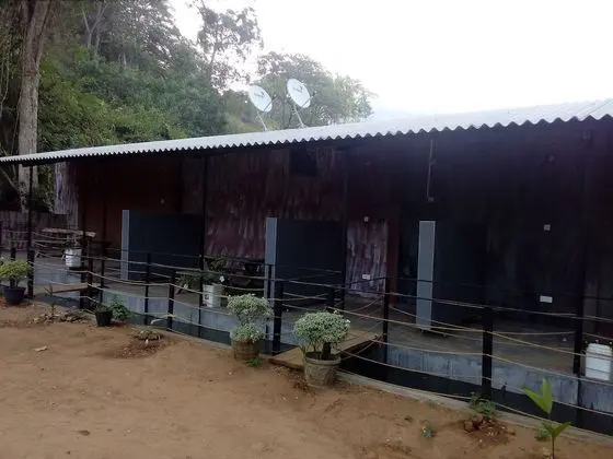 Hotel Elaine