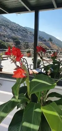 ELaiolithos Luxury Retreat Naxos - Dış Mekan