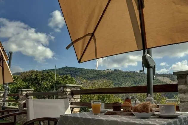 Elaion Terra Boutique Guesthouse - Oda Düzeni