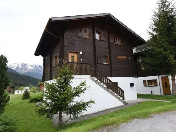 Elegant Apartment in Fieschertal near Forest - Dış Mekan