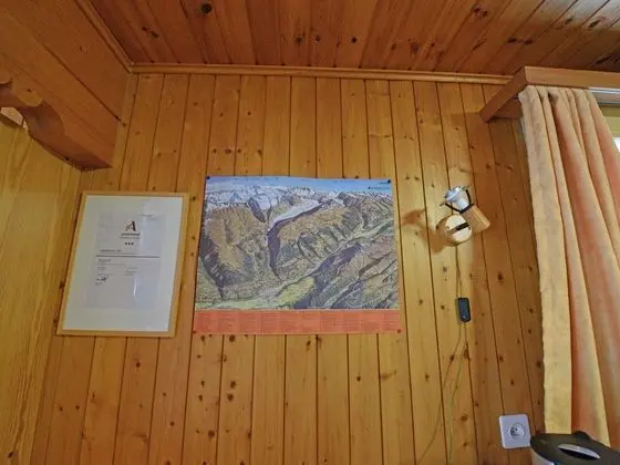 Elegant Apartment in Fieschertal near Forest - Lobi