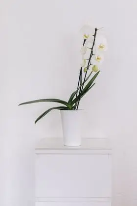 Elegant Apartment with POCKET WIFI - İç Mekan