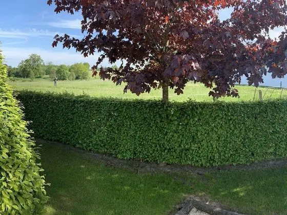 Elegant Chalet in Malmedy With Private Garden