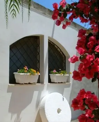 Elegant Double Room in Ancient Masseria Near the sea in a Quiet Olive Trees - Dış Mekan
